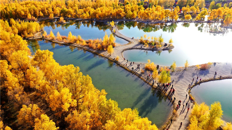 1682303446775092125.png 图片17_副本.png