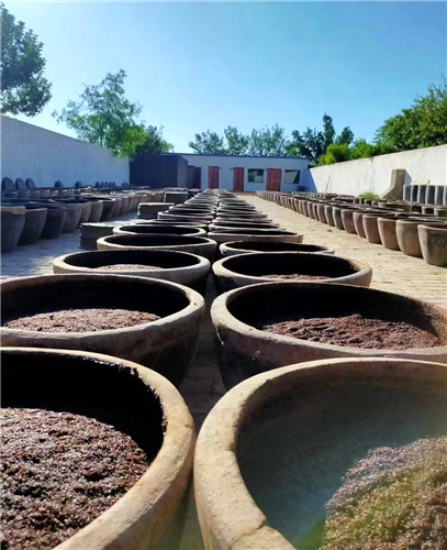 1682501208791076817.jpg 发酵.jpg