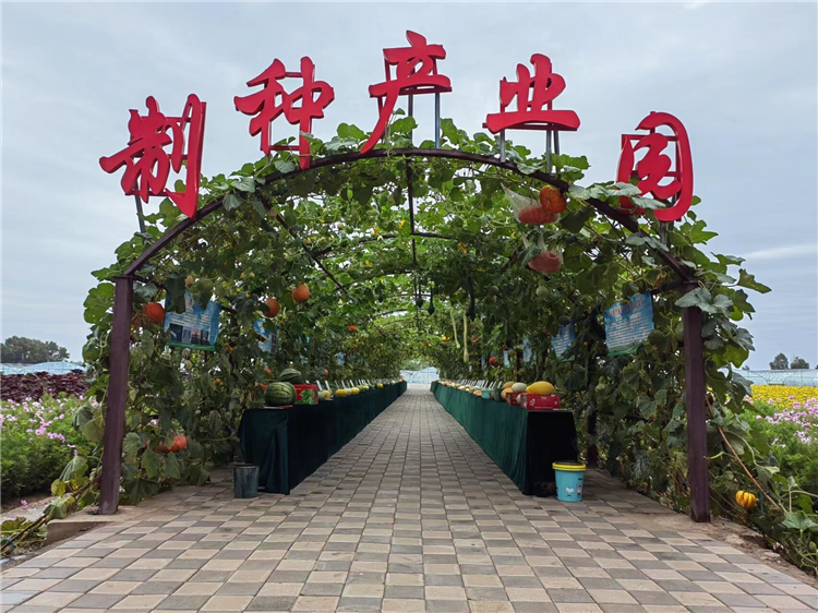 1683191191328062583.png 图片3_副本.png