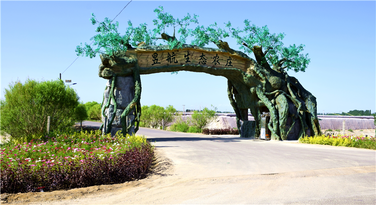 1683191224843010152.png 图片5_副本.png