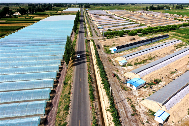 1683191256179026609.png 图片7_副本.png