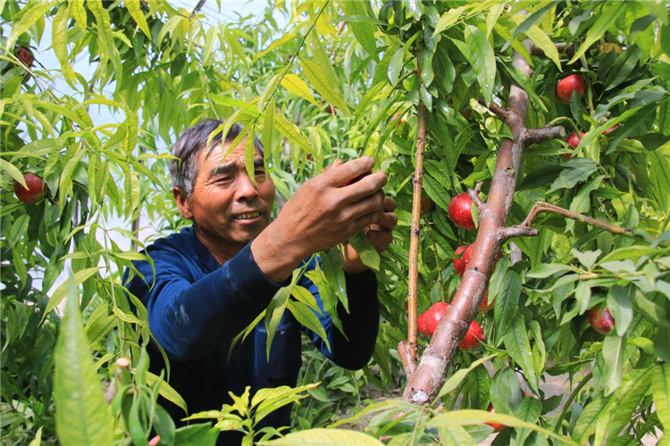 1683537505435086999.png 图片4_副本.png