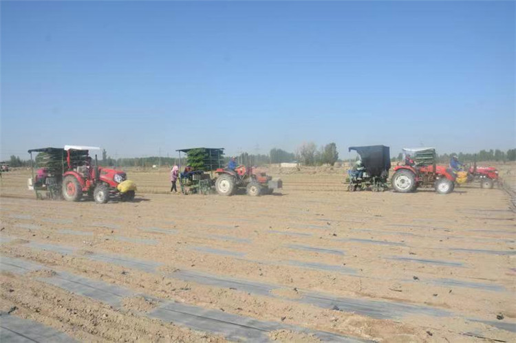 1683625496402088983.jpg 1fac86f814a9d20e060361c587e32a8_副本.jpg