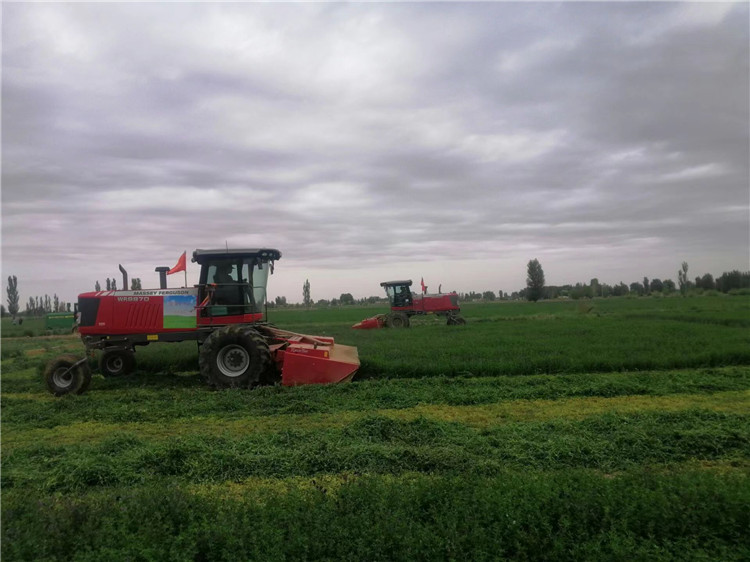 1683625507243039783.jpg 0481f55ac11af1c3c89cef49cbc9da4_副本.jpg