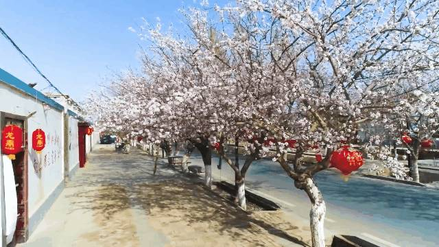 1684227183956036810.png 图片2.png