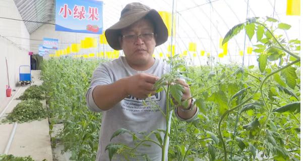 1684834015176036951.jpg 72a9e661b475ac6c4690530fc04b990.jpg