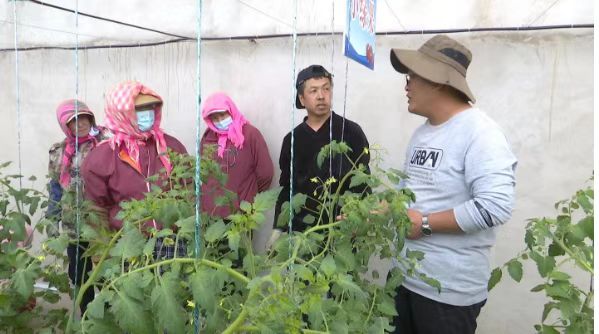 1684834066602066796.jpg 7c7da377bfc41ade58419156fad233d.jpg