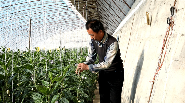 1685007733757013037.png 图片1_副本.png