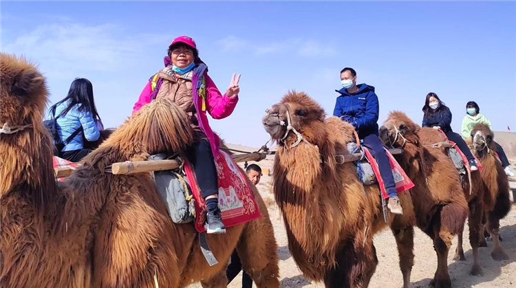 1685091758841032798.png 图片6_副本.png