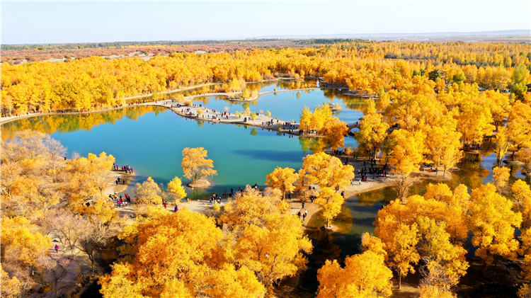 1685353265894065080.png 图片7_副本.png