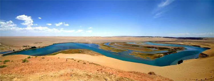 1685353291859035486.png 图片8_副本.png