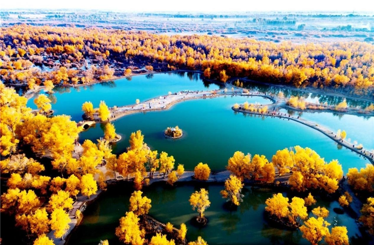 1685439955581035115.png 图片25_副本.png