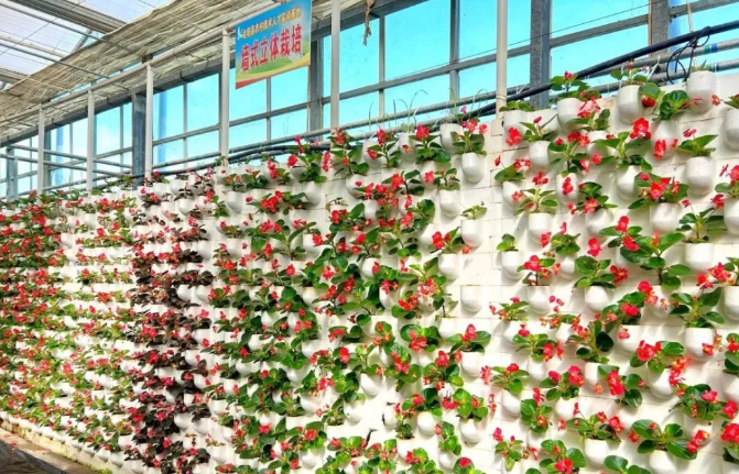 1686302731631093688.png cfafc2a4025cbd444862a02a64221d2.png