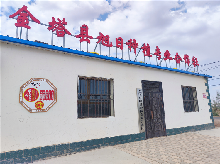 1686563247121088375.png 图片6_副本.png