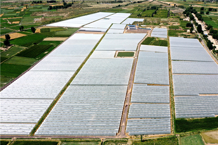 1686647700015018740.jpg 微信图片_20230613170722_副本.jpg