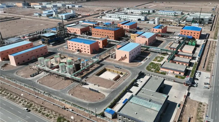 1686819936804033247.png 图片12_副本.png