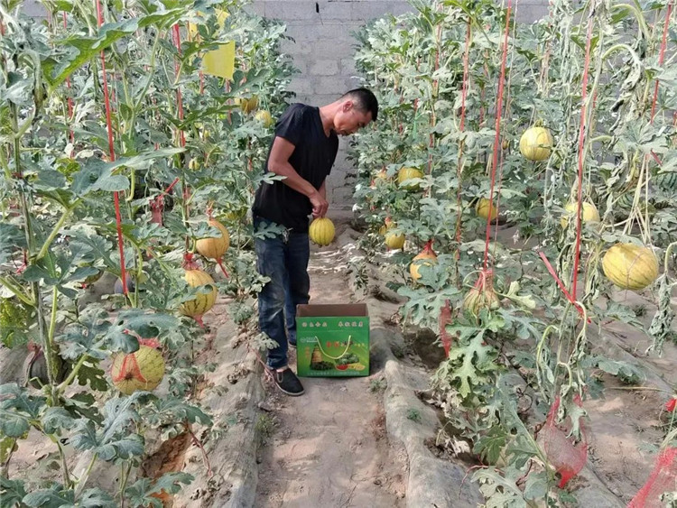 1686907148020057509.jpg 微信图片_20230616171701_副本.jpg