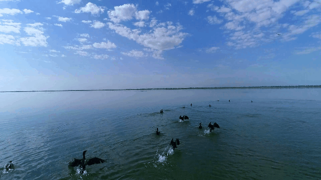 1686907357764096134.png 图片21.png