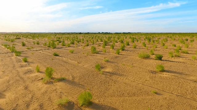 1686907370188042622.png 图片22.png