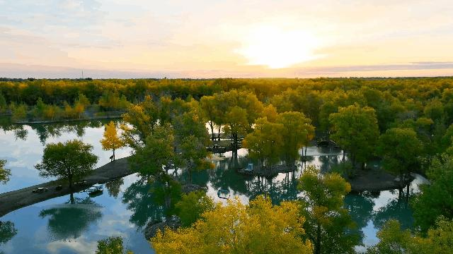 1686907399015091636.png 图片24.png