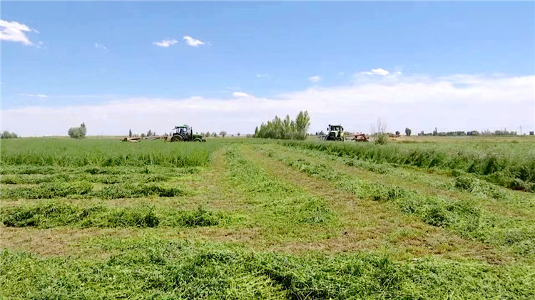 1687166132299047273.jpg 935a9a1b5651f4b6fea4f48d93dc944_副本.jpg