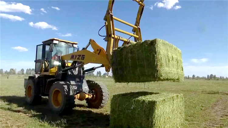 1687166148262085752.jpg 4026c4daa7e5af8b27b74542c882045_副本.jpg