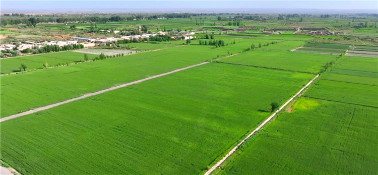 1687166345672093108.png 图片1_副本.png