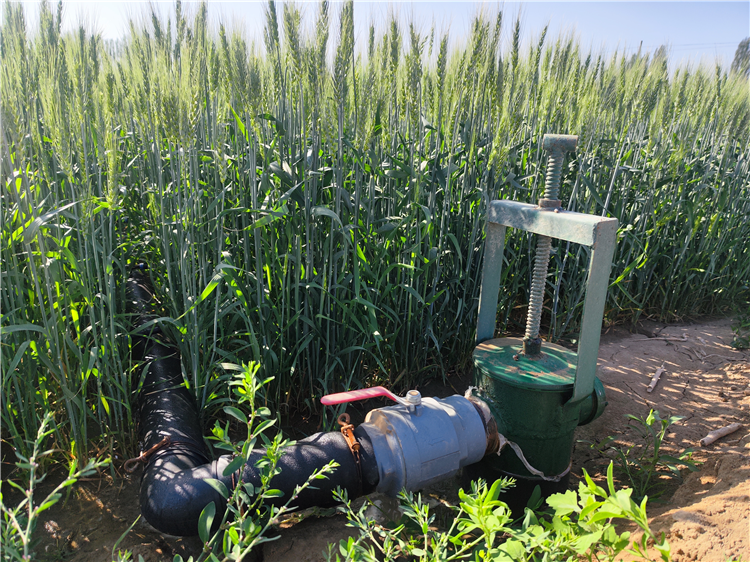 1687166364355030816.png 图片2_副本.png