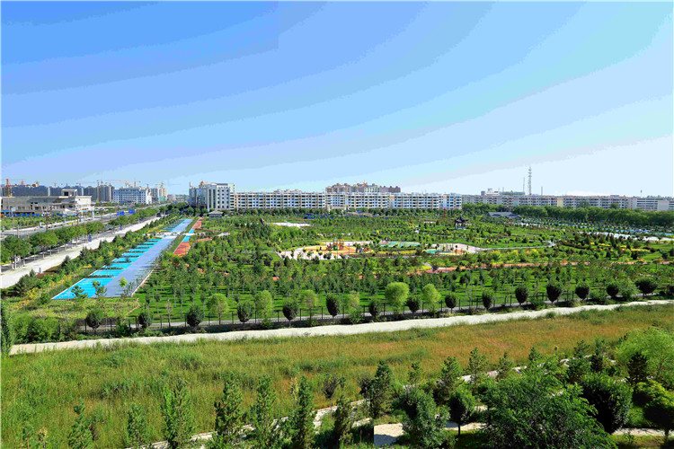 1687252649699086882.jpg 564d506568665dccf52071b8a4af5f7_副本.jpg