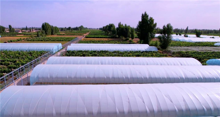 1687338010199092030.png 图片6_副本.png