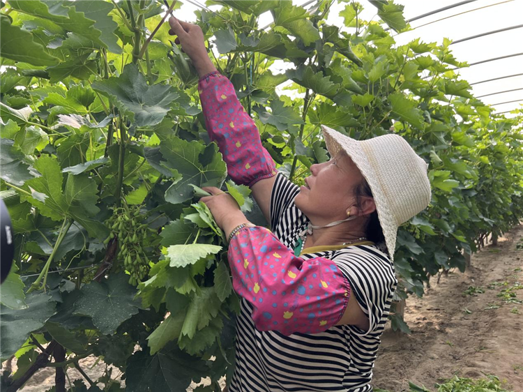 1687338025319008381.png 图片7_副本.png