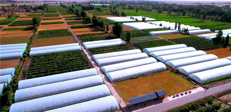 1687338068826015914.png 图片10_副本.png