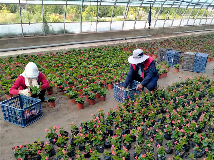 1687338489708032641.jpg 9f290c94fcab47cd53957180c422348_副本.jpg