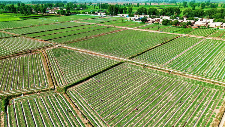 1687937467963053121.png 图片3.png