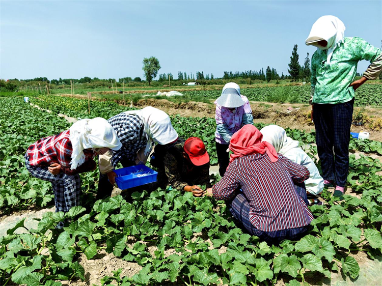 1687937492974027134.png 图片4.png