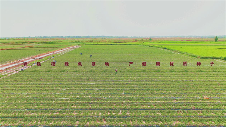 1687937507219033474.png 图片5.png