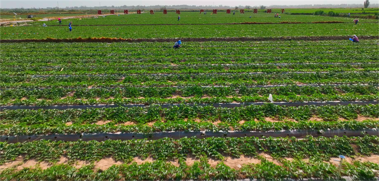 1688463935717061593.png 图片10.png