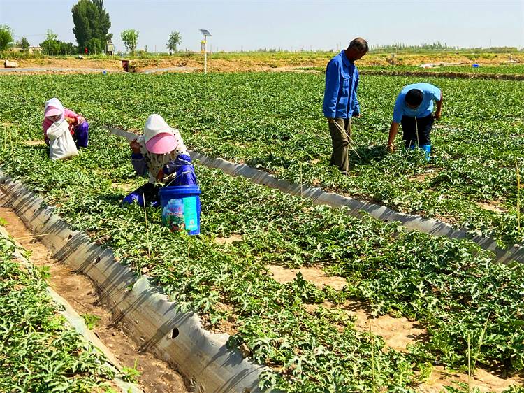 1688463952681039166.png 图片11.png