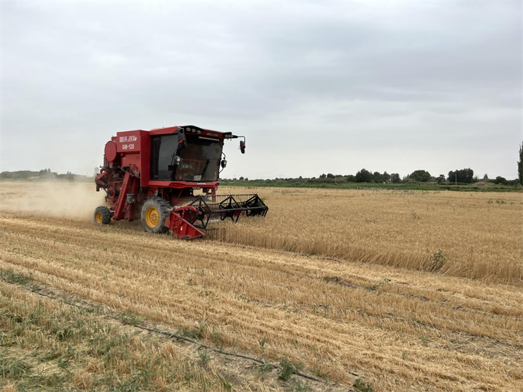 1689142820553052033.png 图片1.png