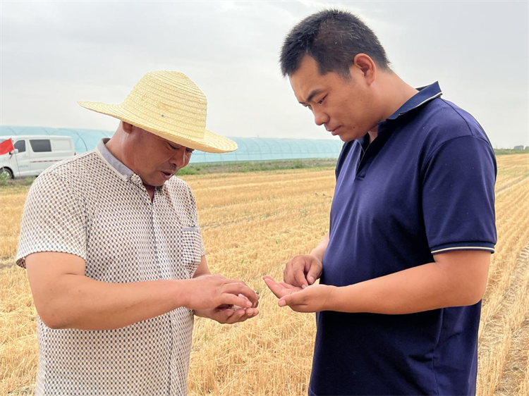 1689142834730085322.png 图片2.png