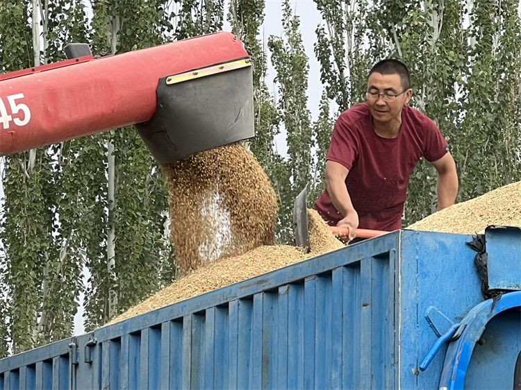 1689142849395009101.png 图片3.png