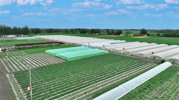 1689329057235028042.png 图片8.png