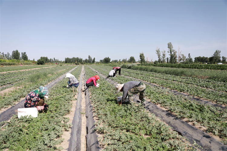 1689329076148053699.png 图片9.png