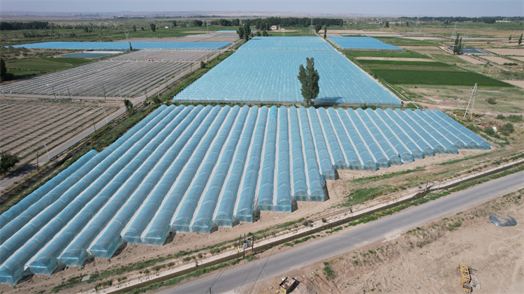 1689329095870010609.png 图片10.png