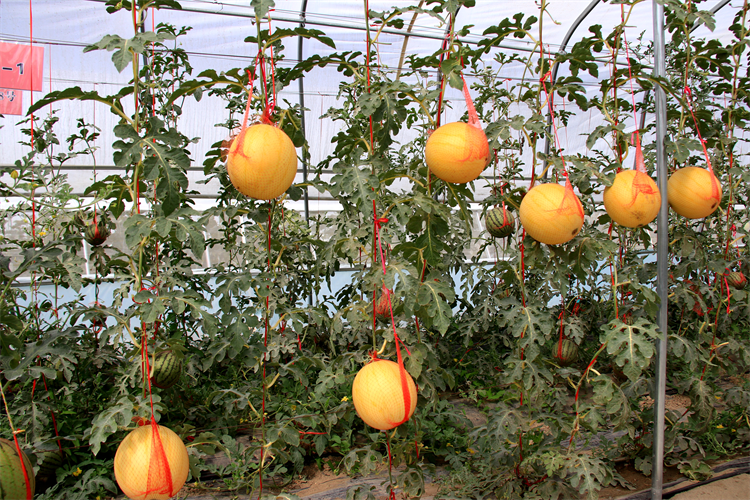 1689329109348022036.png 图片11.png