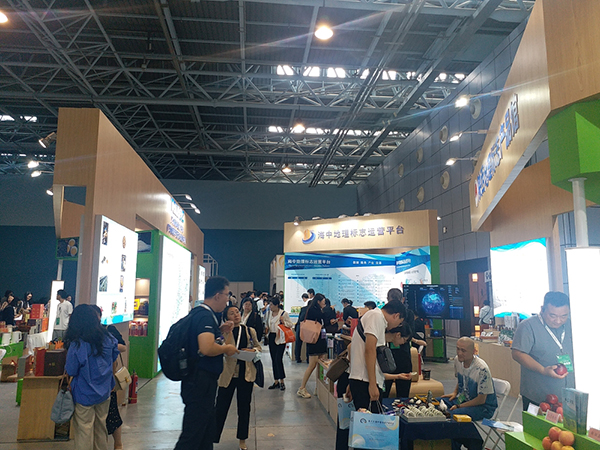 1726308970430060876.jpg 8.jpg