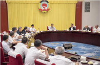 Senior CPPCC members brainstorm ideas to improve consultation system