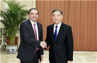 Wang Yang meets Pakistan's senate deputy chairman