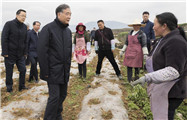 Wang Yang stresses overcoming challenges in poverty alleviation