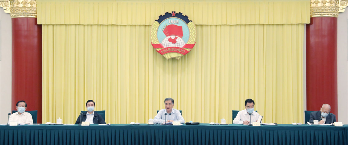 Senior CPPCC members brainstorm ideas on consultation rules